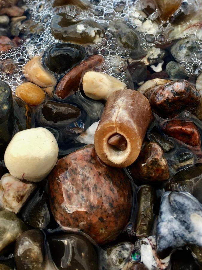 Strandgut